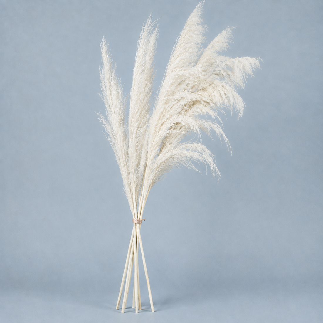 Hudson Feathered Reed Stems - Ivory White