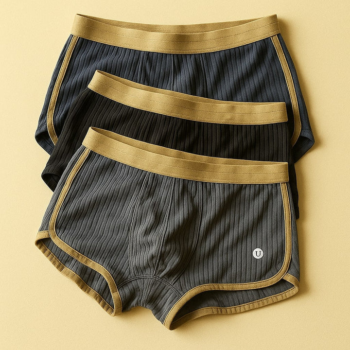 Mason Organic Cotton Boxer Briefs Set