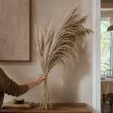 Hudson Feathered Reed Stems - Styled Room Scene