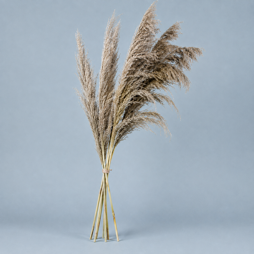 Hudson Feathered Reed Stems - Natural Taupe