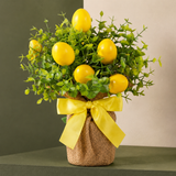 Evander Lemon Eucalyptus Arrangement - Yellow And Green