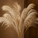 Harris Natural Reed Stems - Natural Beige