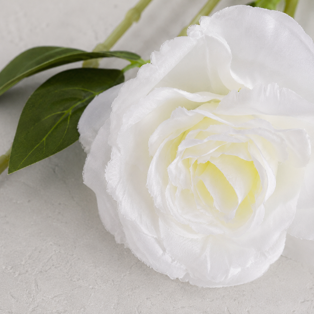 Anton Blooming Lisianthus Stem - Lead Product Detail