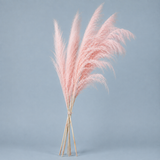Hudson Feathered Reed Stems - Blush Pink