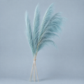 Soft Blue
