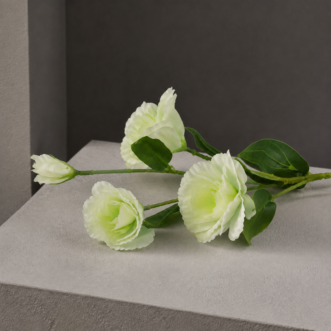 Anton Blooming Lisianthus Stem - Light Green